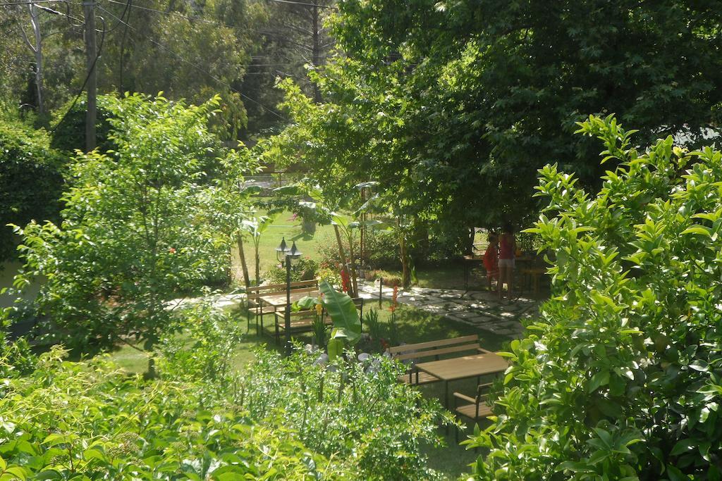 Arya Holiday Houses Çıralı Ngoại thất bức ảnh