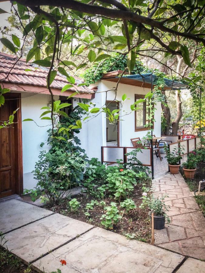 Arya Holiday Houses Çıralı Ngoại thất bức ảnh