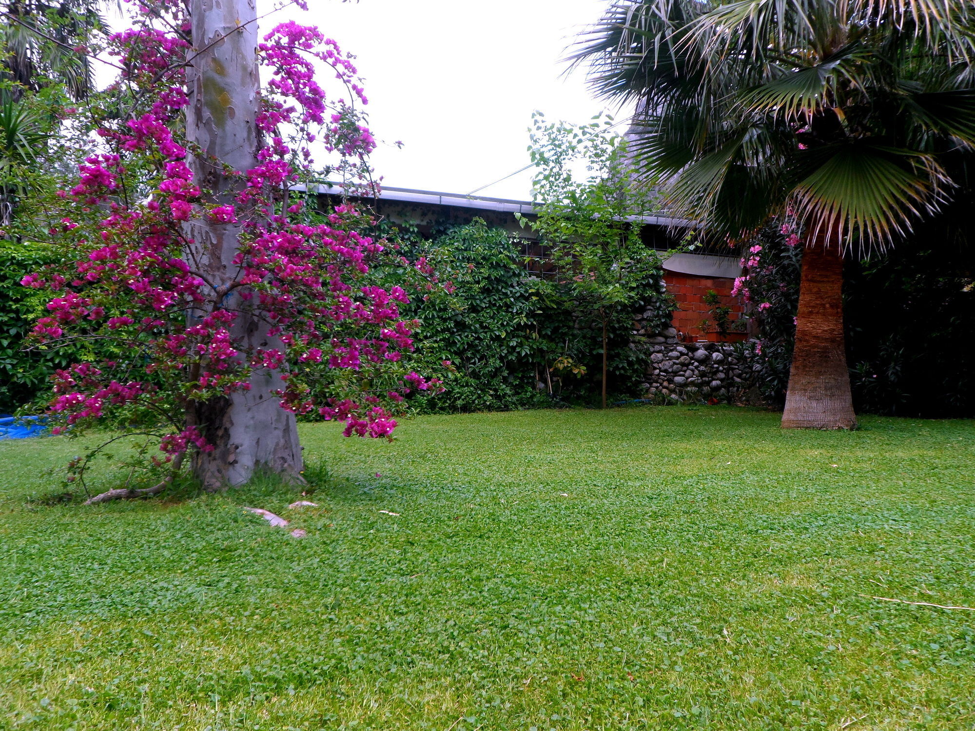 Arya Holiday Houses Çıralı Ngoại thất bức ảnh