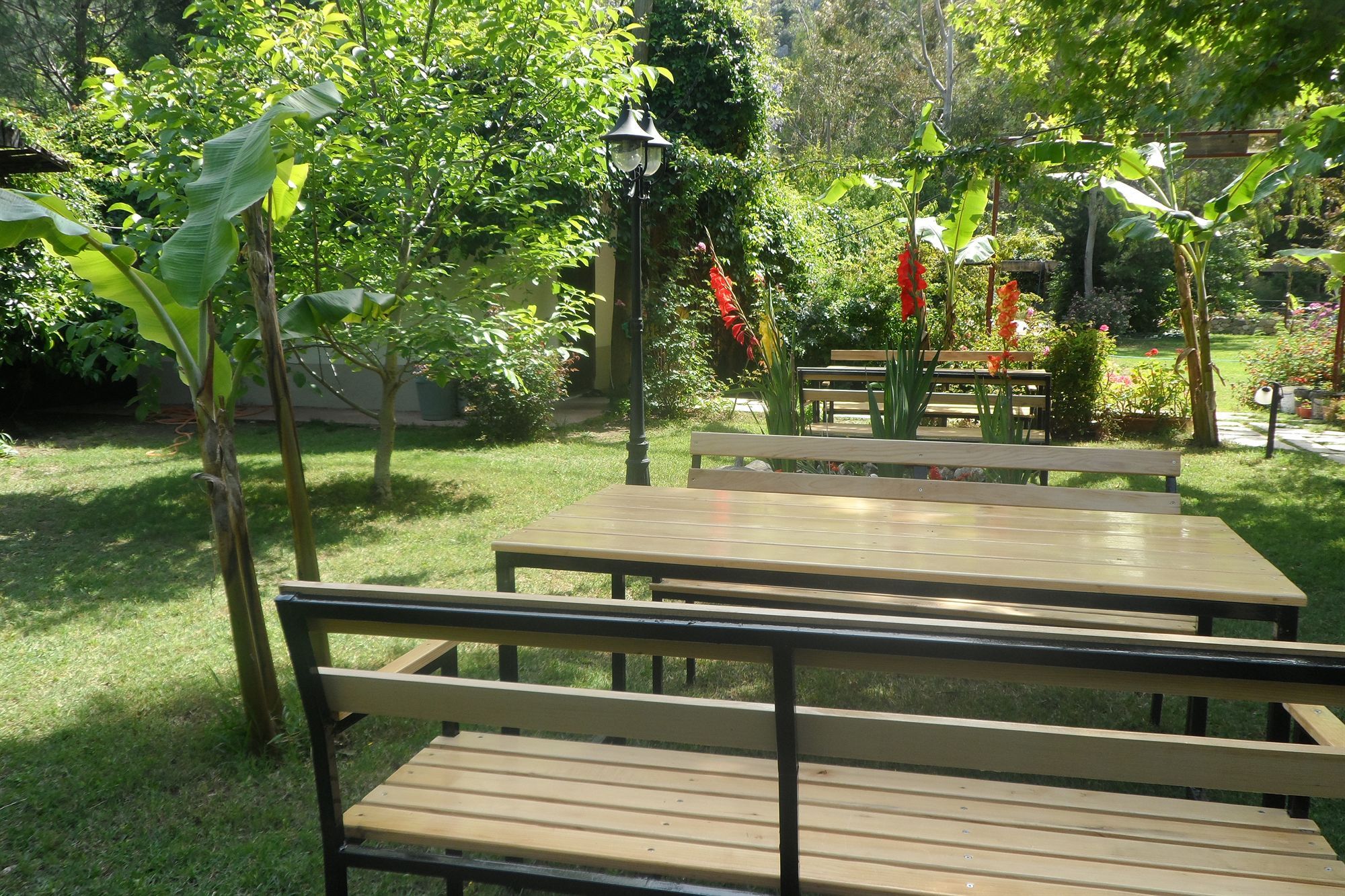 Arya Holiday Houses Çıralı Ngoại thất bức ảnh