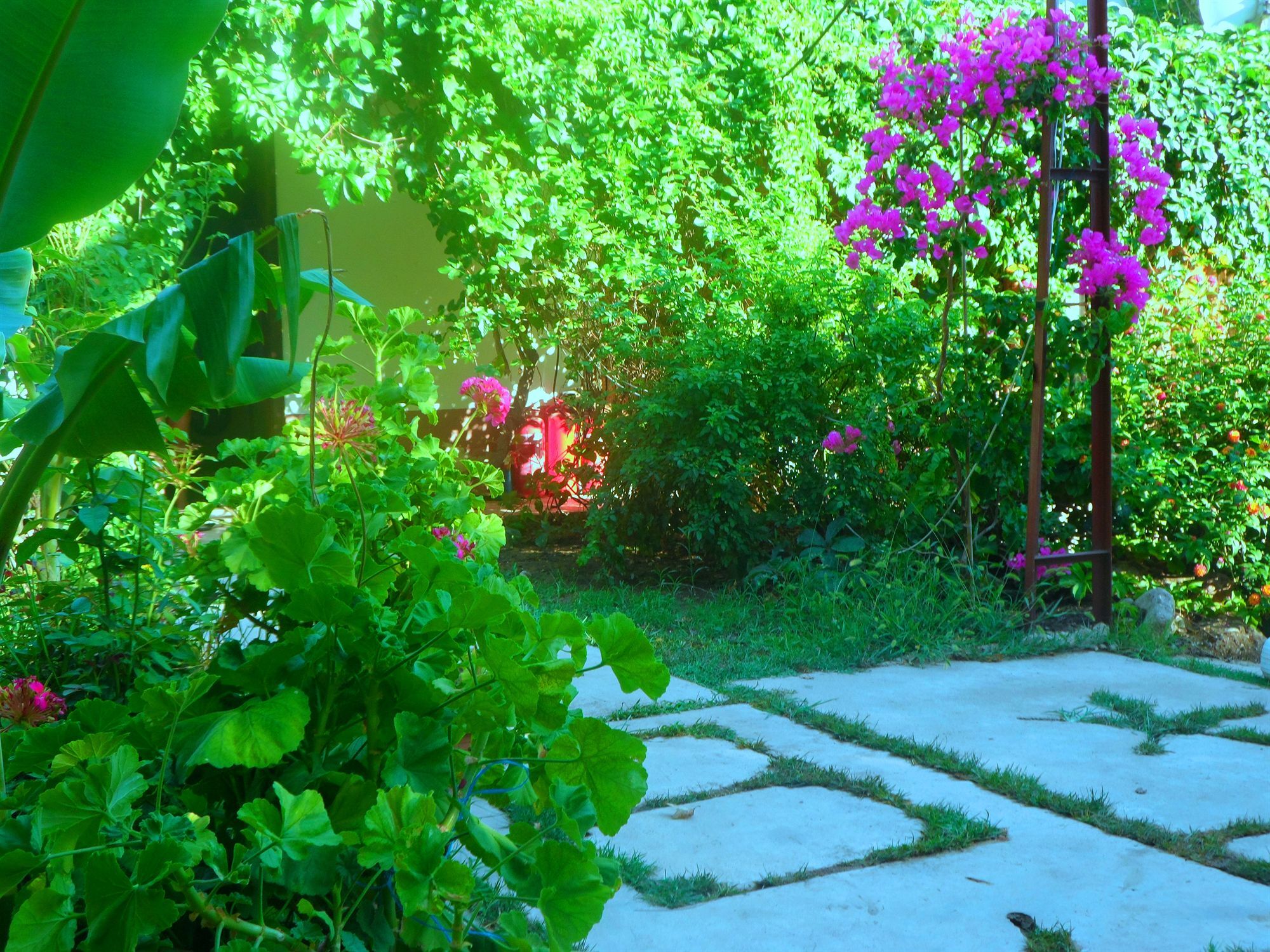 Arya Holiday Houses Çıralı Ngoại thất bức ảnh