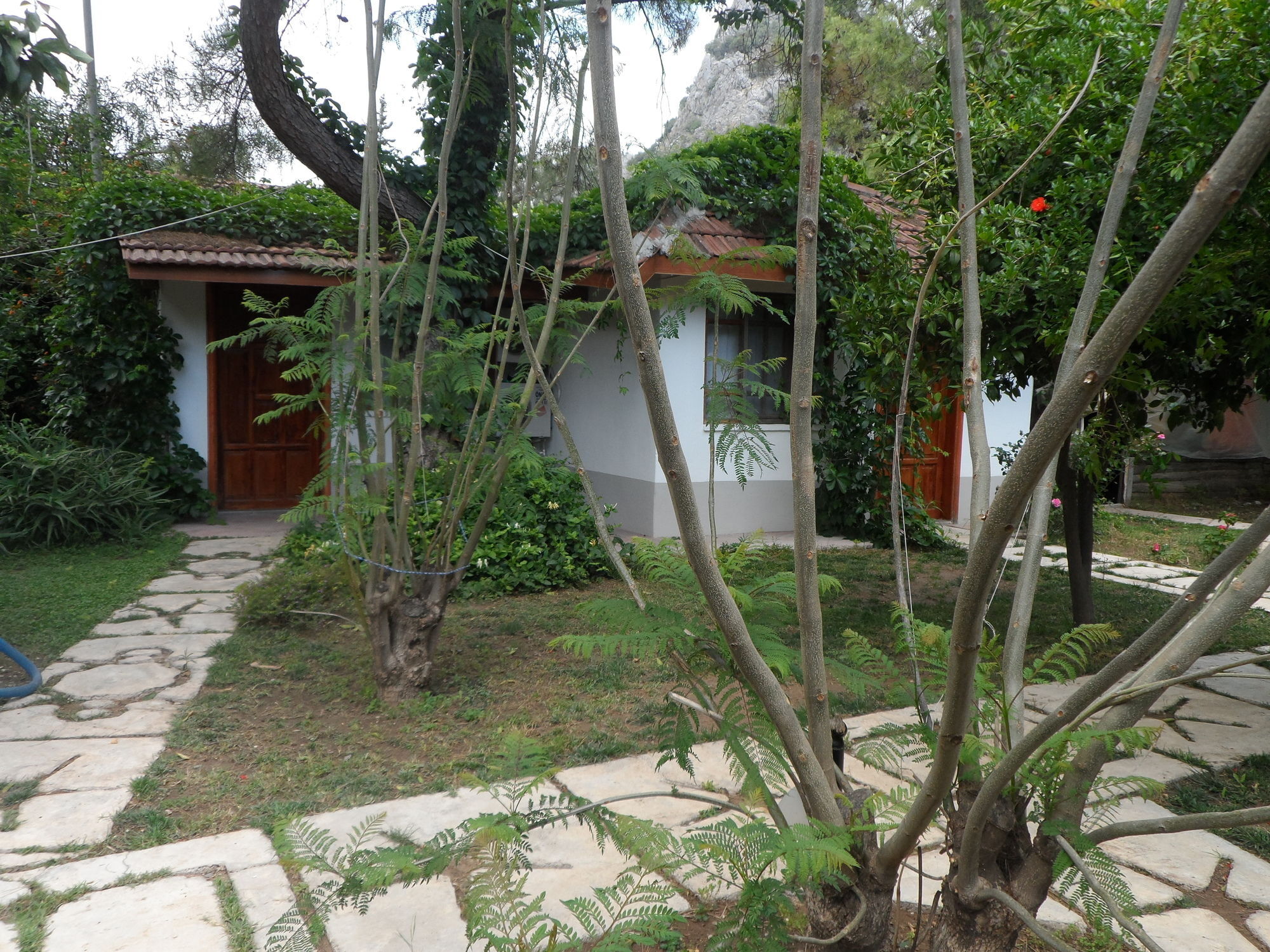 Arya Holiday Houses Çıralı Ngoại thất bức ảnh