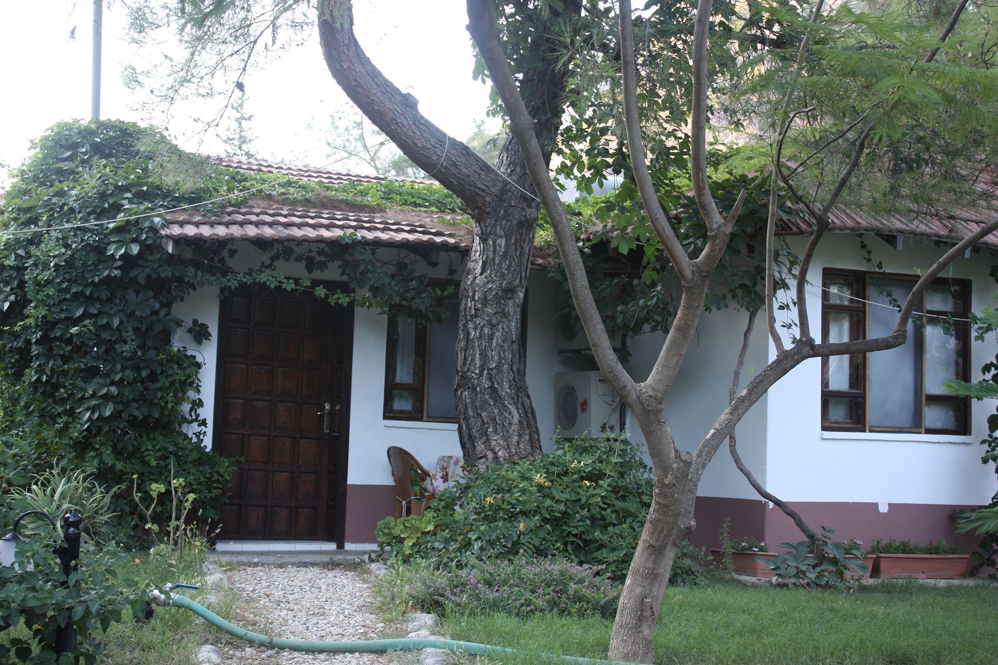 Arya Holiday Houses Çıralı Ngoại thất bức ảnh